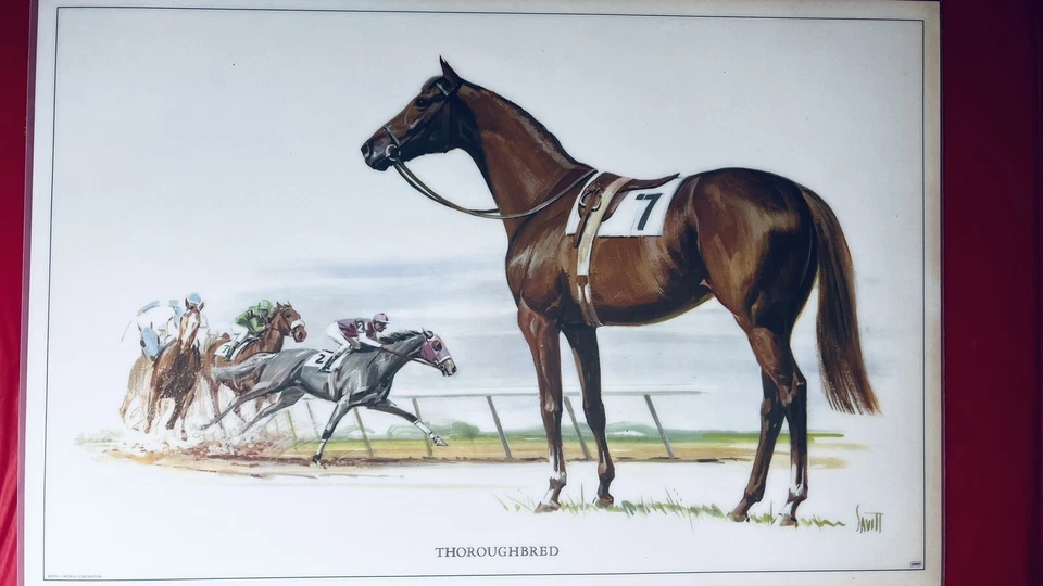 复古 Hedwin 马座垫 (5 混合) Savitt 厨房 — 第 2/4 张图片