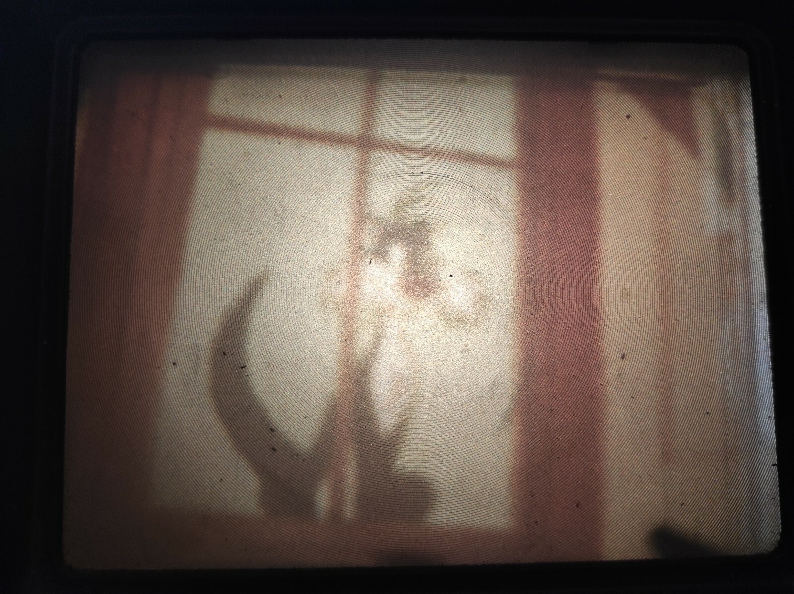 Photo 3/3