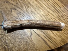 Large Bird Dragonwood Perch