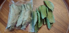 Dried Guava Leaves Organic Psidium Guajava Dried Leaves-40 Pcs