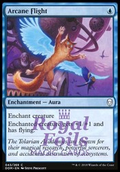 Arcane Flight #43 Foil Dominaria MTG