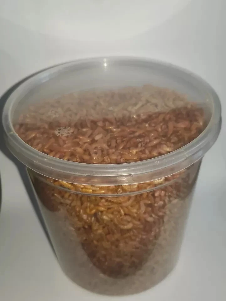 Gefriergetrocknete Gammarus Garnelen 1L - Fischfutter Schildkröte Terrapin Ko... - Bild 2 von 4