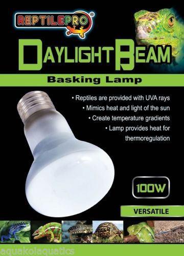 REPTILEPRO DAYLIGHT BEAM BASKING LAMP for REPTILE VIVARIUM TERRARIUM 50/75/100W - Picture 2 of 5