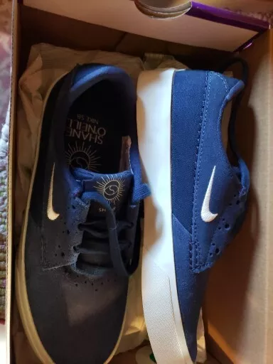 Nike sb shoes navy sale