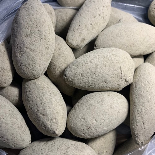 Crab fossil nodules waiting to be excavated during the dinosaur era - Picture 5 of 5
