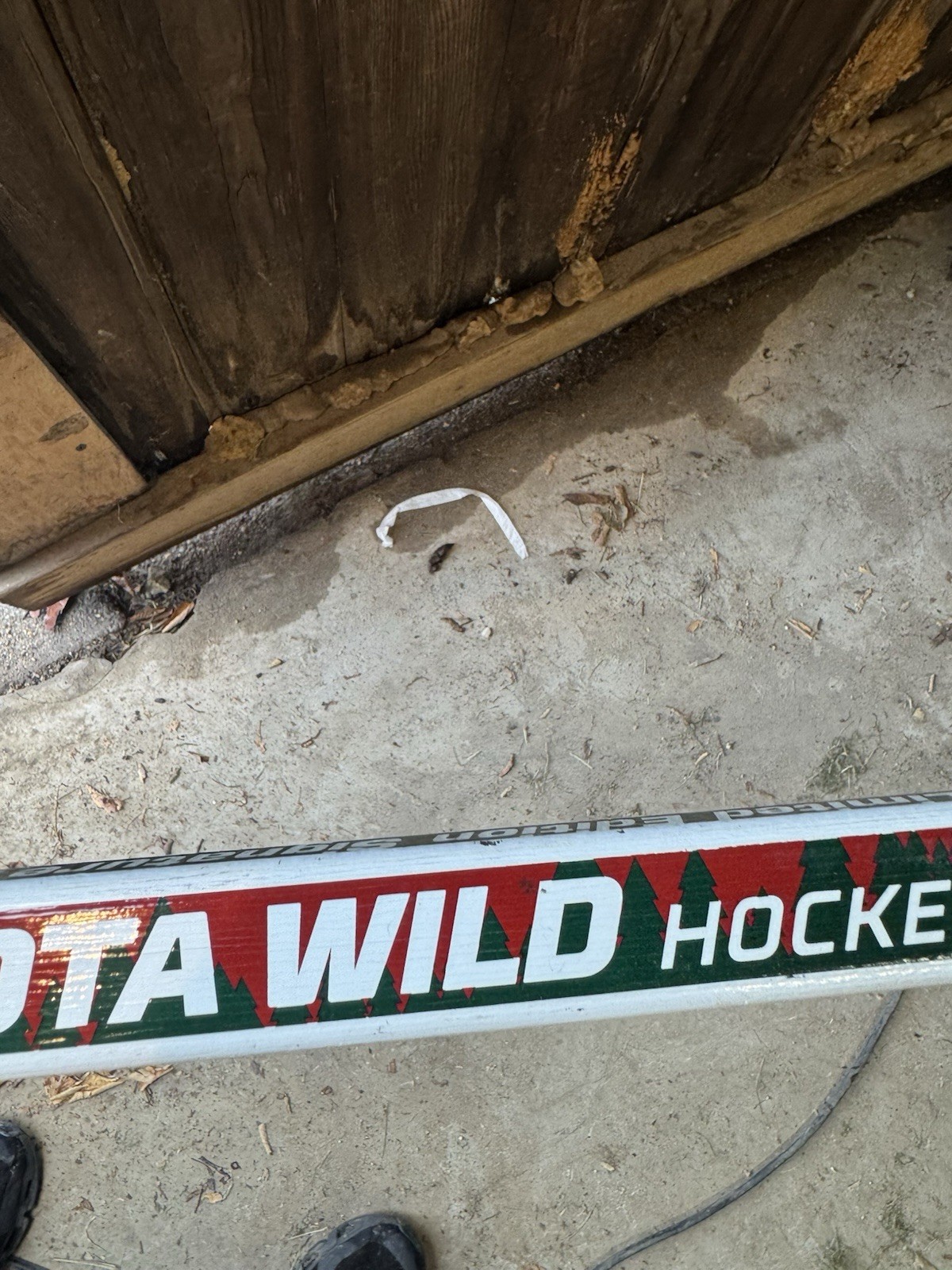 Minnesota Wild  Signed Hockey Stick