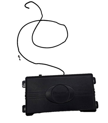 DIRECTED ELECTRONICS 3100 W CABELS AND KEY