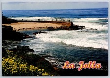 La Jolla California Postcard Beach View Children's Pool Beach Seals USA