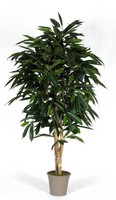 Artplants Kunst Longifolia Marianka, NatüRliche StäMme, GrüN, 150Cm