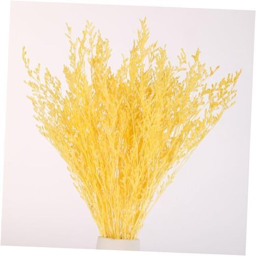 Dried Flowers Bouquet, Dry Caspia Flower Bundle, Floral Lavender, B-yellow-image
