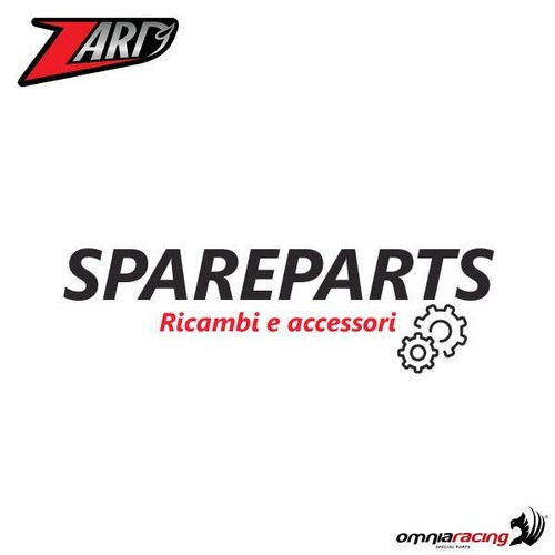 Zard kit rigenero lanavetro rivetti per un terminale BMW R1200GS 2014> - Imagen 1 de 5