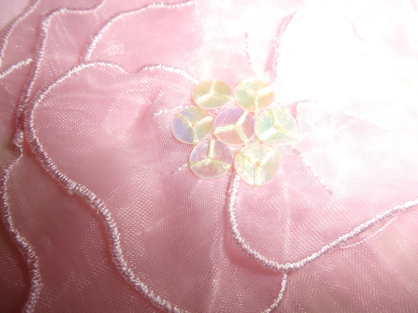 Bild 7 von 12