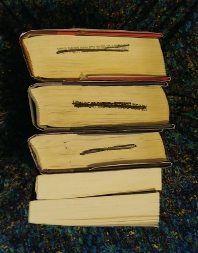 Seven Rhelms Books & Heir Chronicles by Cinda Williams China - Bild 12 von 12