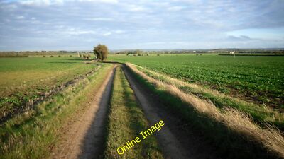 Photo 12x8 Track and Not Much Else Berinsfield That bush features in sever c2013