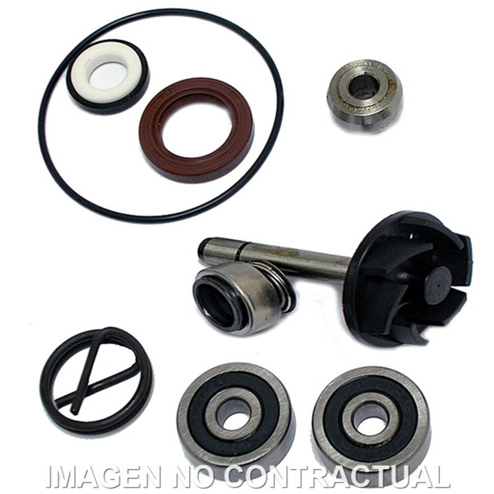 Kit Repair Pump Water piaggio beverly 250 for Moto