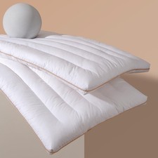 1 Packs Flat Pillows for Sleeping Thin, 2.5 inch Height Ultra Thin Pillows,10...