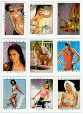 ONE Portfolio 92 OU Portfolio's Secrets lot incomplet d'environ 50 cartes à collectionner