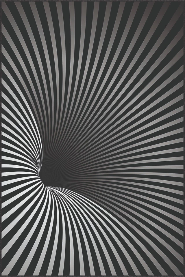 Optical Illusion rug, 3D Vortex Rug, Salon Rug,Black striped rug, Geometric line - Image 3 of 4