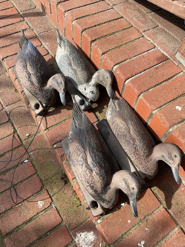 Vtg Duck Decoys Plastic Hollow Body Hunting Mallard Plastic Lot-10 Fowl & Book