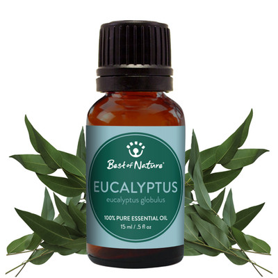 Eucalyptus Essential Oil 100% Pure -Natural Aromatherapy- Soap Candle DIY - BULK
