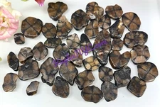 Wholesale Lot 1 Lb  Natural Chiastolite Tumble Stone  Healing