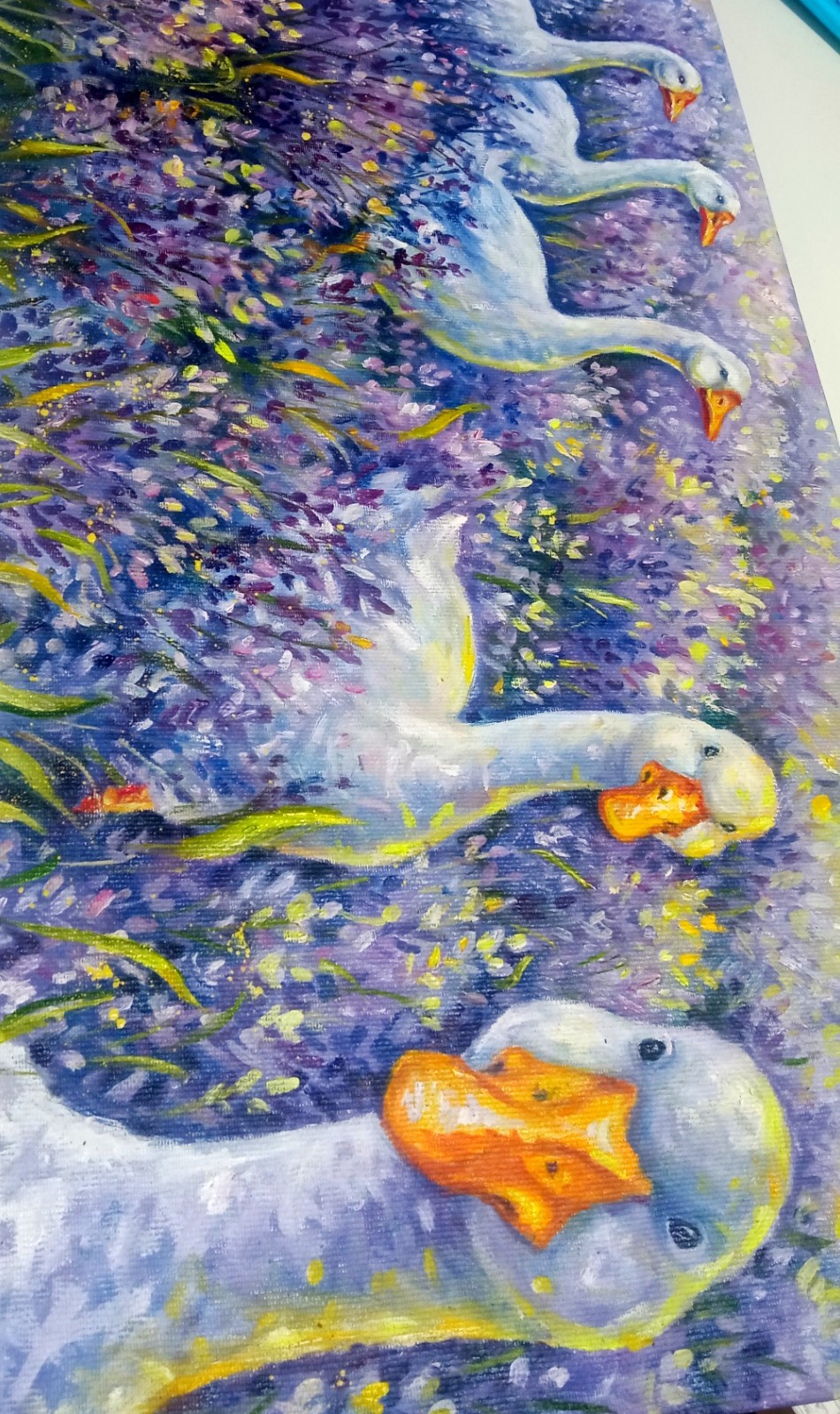 Picture 7 of 14