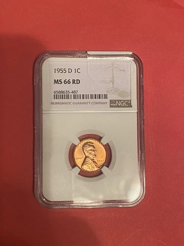 1955 D Lincoln Cent MS66 RD NGC Wheat Penny