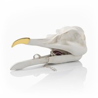Suck Uk Bird Skull Jewellery Box Bird White Suck Uk Bird Skull Jewellery Box Bird White