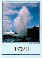Oahu Island Hawaii HI Blow Hole Rocks Postcard