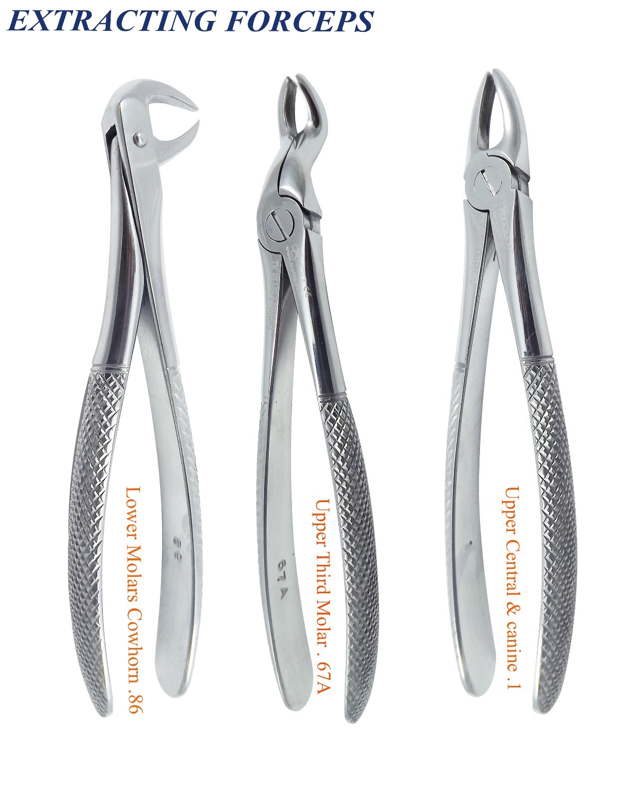 3 Extracting Roots Forceps Lower Molars Cowhorn Upper Third Molar Upper Central eBay
