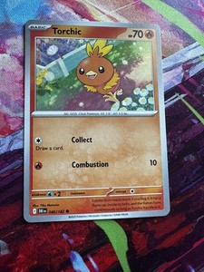 Pokemon Cards Torchic | eBay