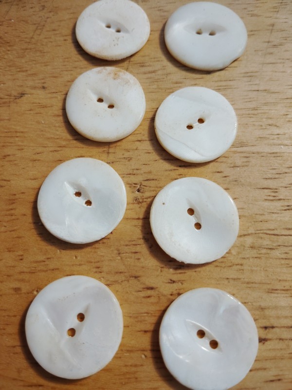 vintage shell buttons