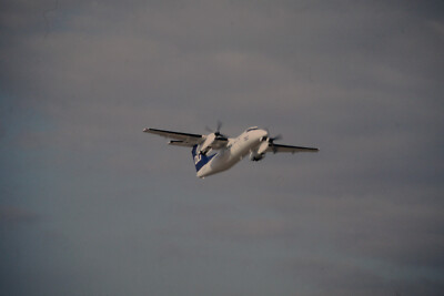 Dia D-BEST De Havilland DHC-8 DLT 08/1991 FRA 35mm gerahmt OP-K4-39