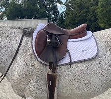 Antarès Sellier Saddle - 2020 17in seat