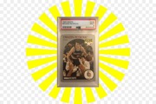 Drazen Petrovic Rookie Card PSA NBA All Star Player Champion Croatia FIBA MVP US