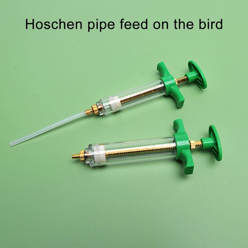 1X Fledgling And Baby Bird Manual Feeding With Tubes Parrot Feedings Syringe Set - Picture 6 of 15