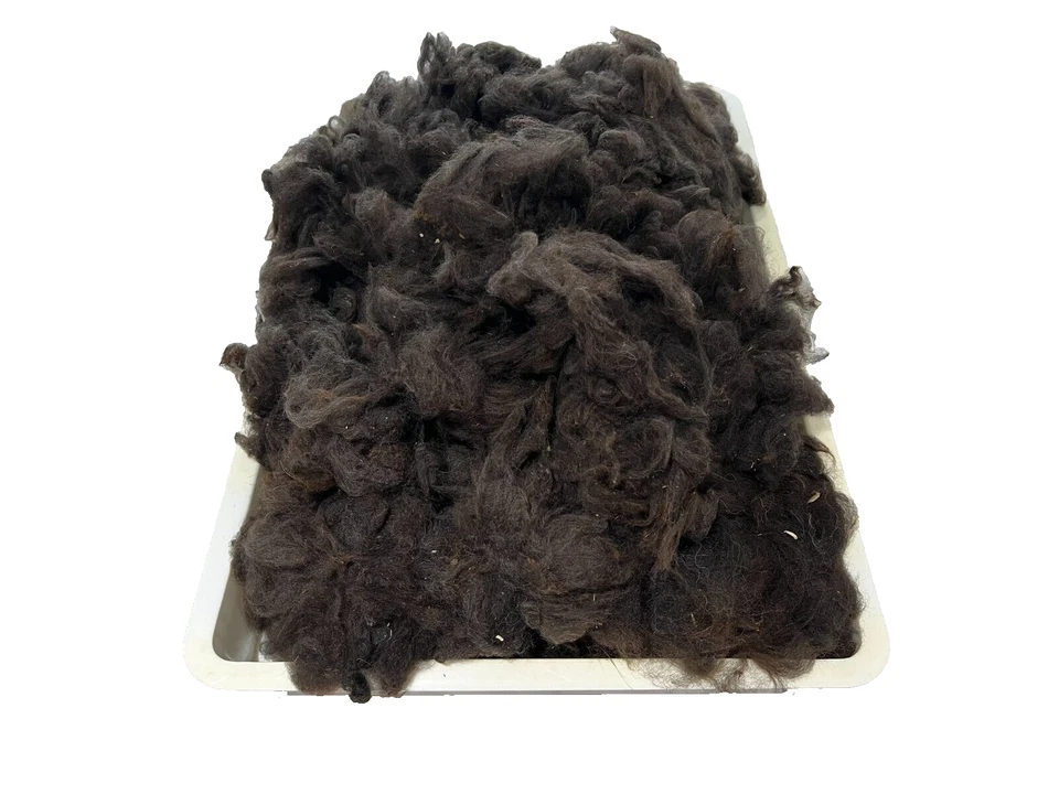 Alpaca Fiber Dark Brown Raw Unwashed 1 Pound Natural - Image 2 of 3