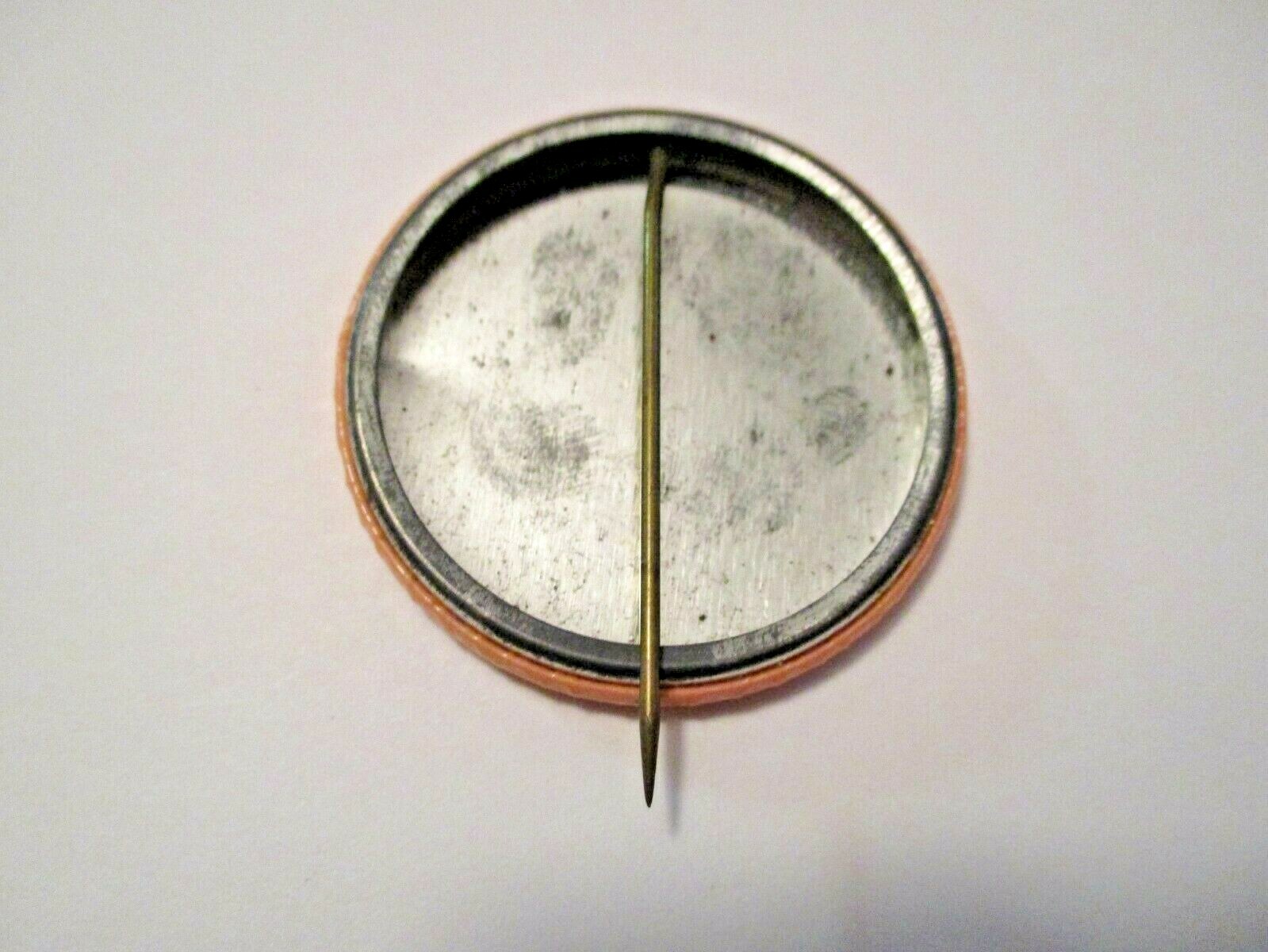 VINTAGE 1973 FLOODWOOD MINNESOTA FAIR BOOSTER ADVERTISING PIN PINBACK