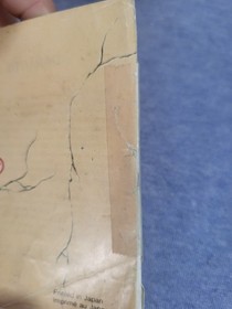 Faxanadu (Nintendo Entertainment System NES) Complete In Box CIB