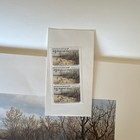 Margaret M. Smith 1981 Iowa Duck Stamp Print w/ 3 Matching $3 Stamps Ltd Ed — photo 2