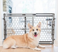 Carlson Pet Products Expandable Pet Gate,28"-42"Wide x 23"Tall,Pressure Mounted