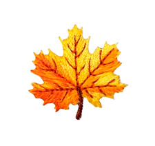 iron n patch Yellow and Orange Autumn Leaf 1-1/8" x 1-1/8"FREE SHIPPING