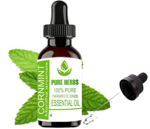 Pure Herbs Cornmint 100% Pure & Natural Mentha Arvensis Essential Oil - Picture 26 of 30