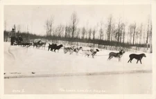RPPC Laka Dog Sled Team Loose Lead Dog People Snow Real Photo Alaska AL P590