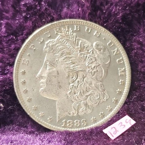 VIDEO 👀🔥GORGEOUS🔥1883-O Morgan Silver Dollar UNC PL Cameo Frosty Prooflike 39