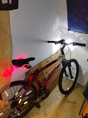 Schwinn Mesa Mountainbike rot/weiß, Federgabel, V-Bremse, Flaschenhalter