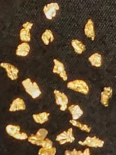 GOLD RUSH! (2) Authentic Alaskan Yukon Gold Nuggets.  BUY 4 & GET 1 FREE