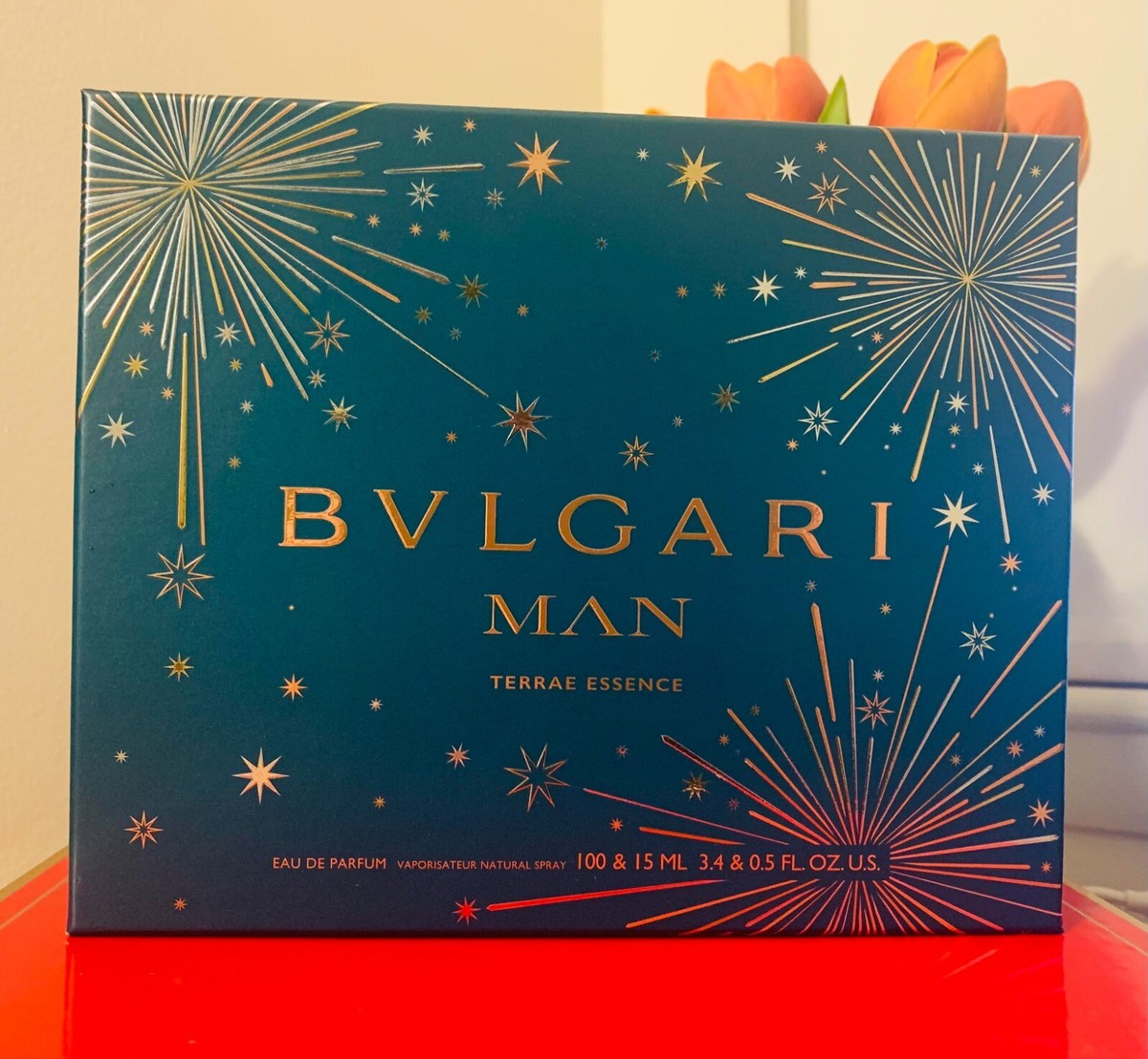 ブルガリ マンテラエ エッセンス 100m MAN TERRAEESSENCE BVLGARI Man Terrae Essence Eau de Parfum 41610 | Bulgari
