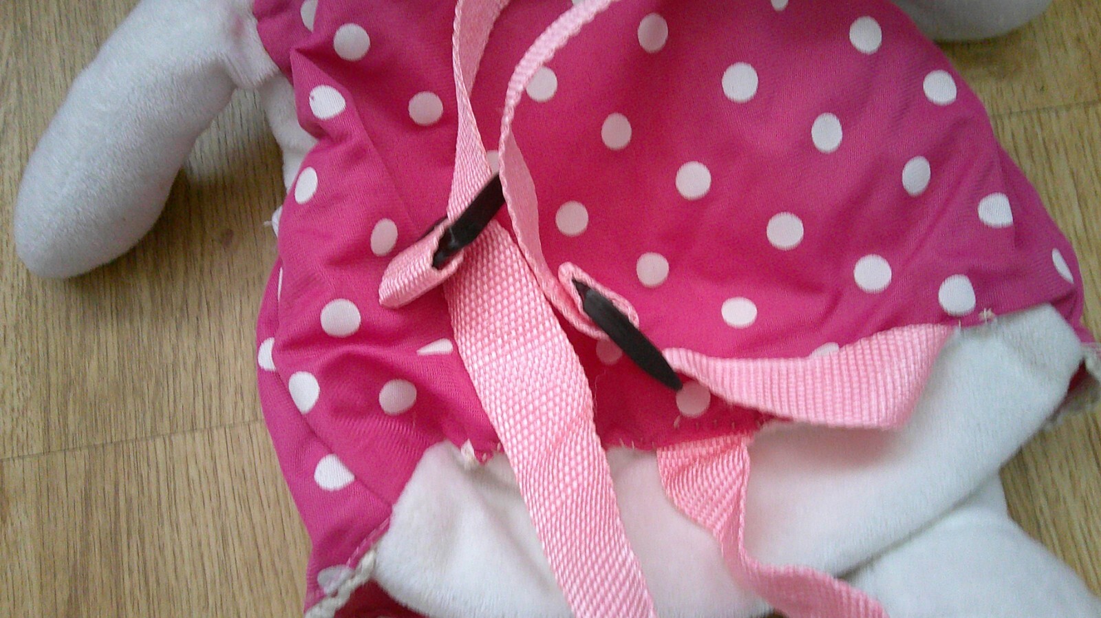 Bild 5 von 5
