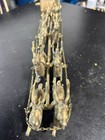 Vintage Solid Brass 8 Reindeer Pulling Sleigh Christmas Decor 19”L X 21/4” — photo 7